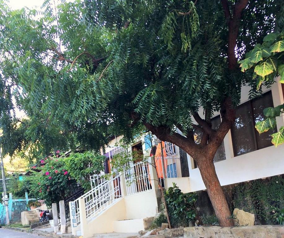 Lorena Surf Hostel San Juan del Sur Exterior photo